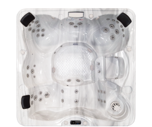 Avalon Plus PPZ-843LC